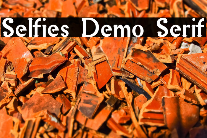 Selfies Demo Serif Example 3