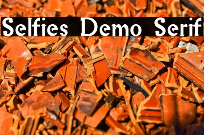 Selfies Demo Serif Example 3