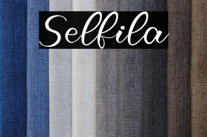 Selfila Example 1