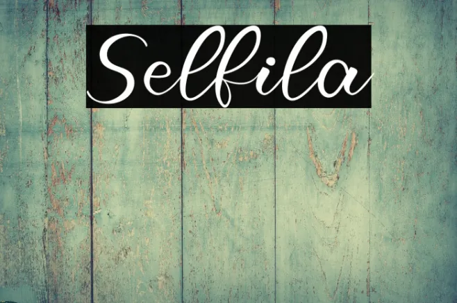 Selfila Example 2