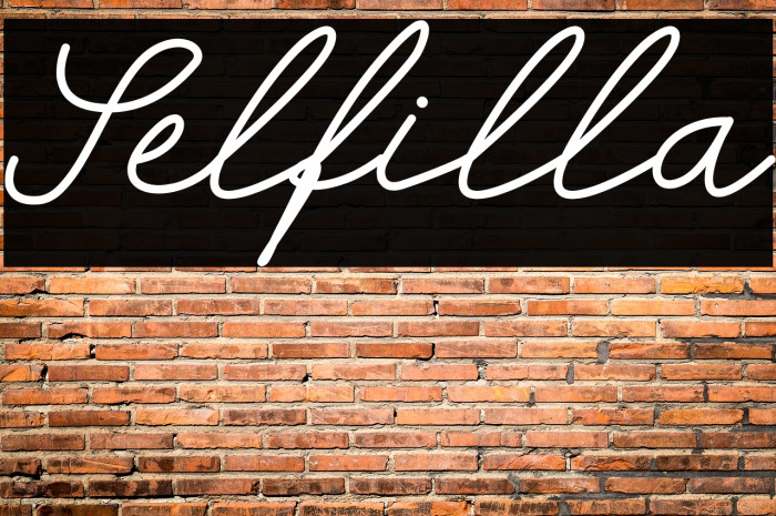Selfilla Font examples