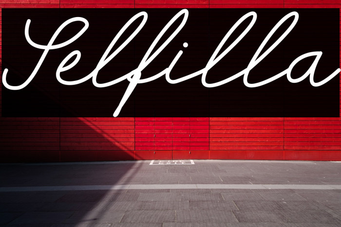 Selfilla Font examples