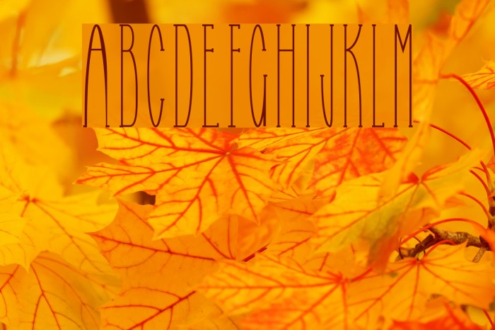 Selfish Bitch Normal Example 1