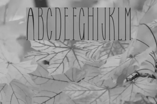 Selfish Bitch Normal Font examples