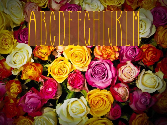 Selfish Bitch Normal Example 2