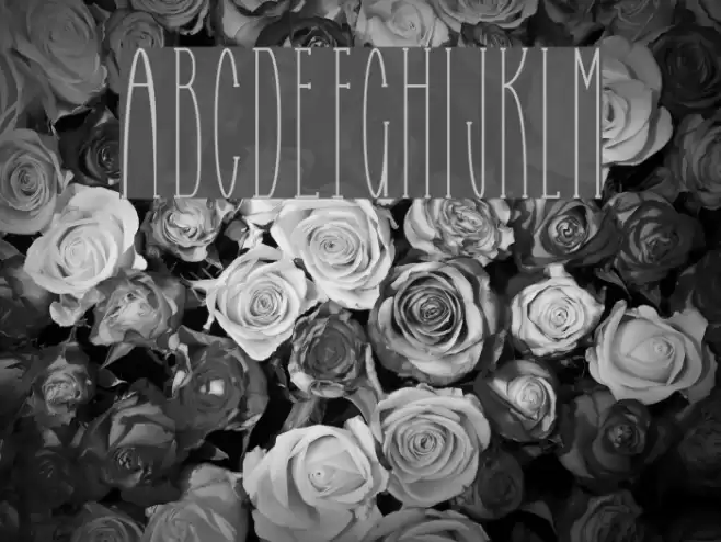 Selfish Bitch Normal Font examples