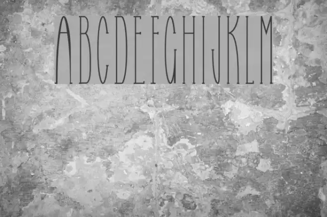 Selfish Bitch Normal Font examples