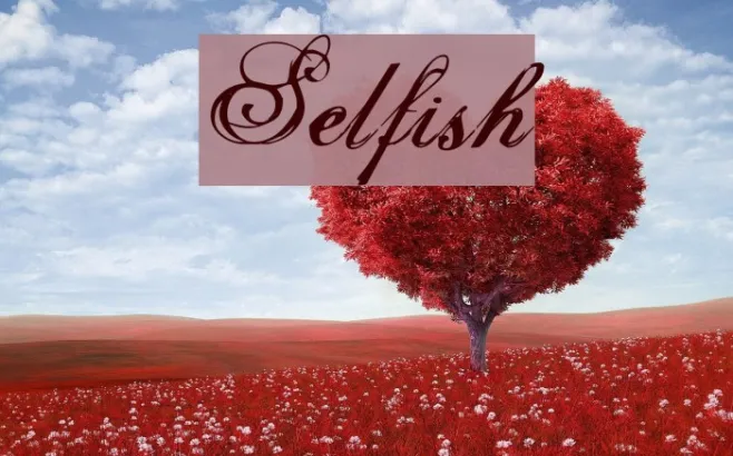 Selfish Example 3
