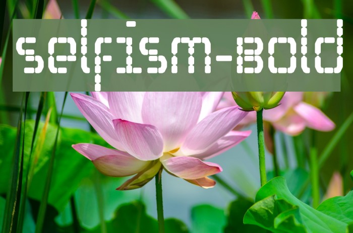 Selfism-Bold Example 3
