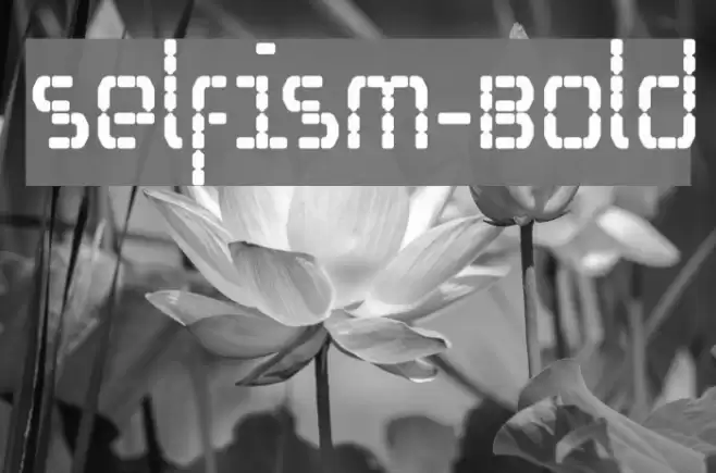 Selfism-Bold Font examples