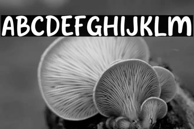 Selftudy Шрифта examples