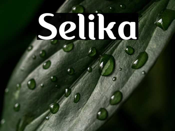 Selika Example 1
