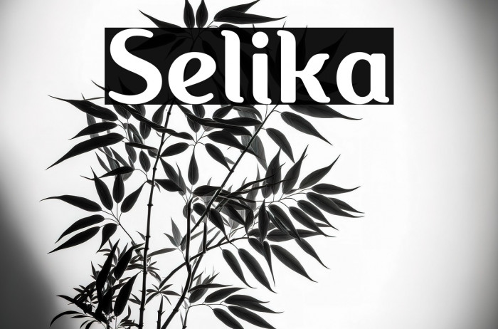 Selika Example 3