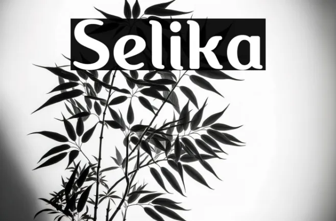 Selika Example 3