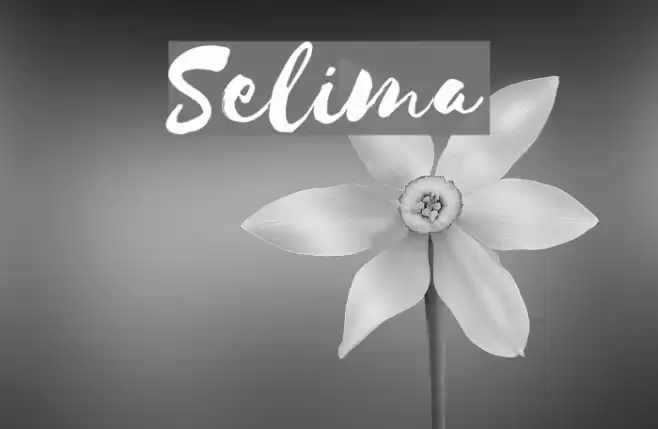 Selima Font examples