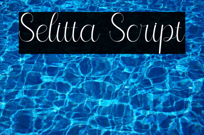 Selitta Script Example 1