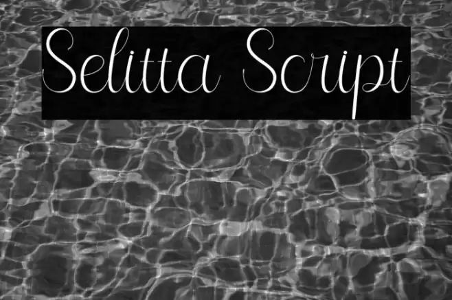 Selitta Script Font examples