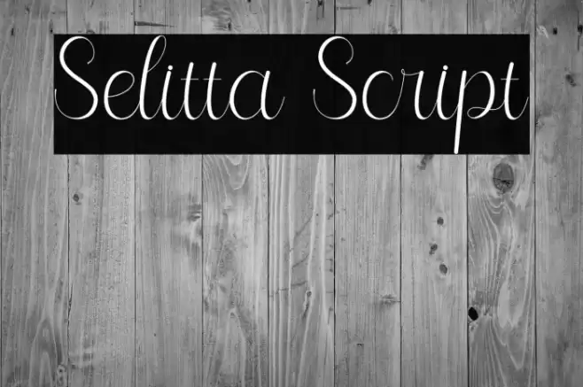 Selitta Script Font examples