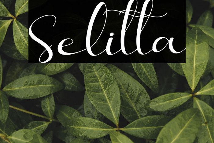 Selitta Example 1