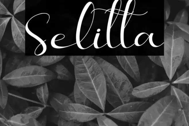 Selitta Font examples