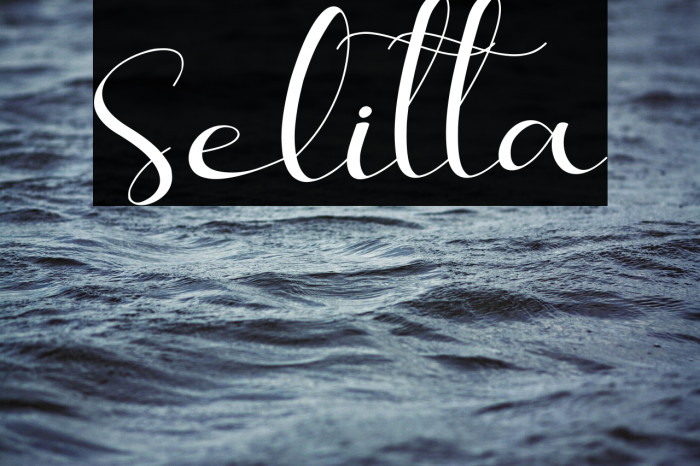 Selitta Example 2