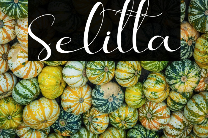 Selitta Example 3