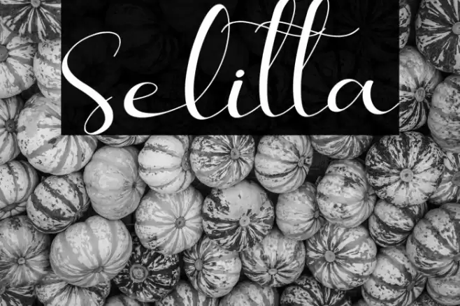 Selitta Font examples