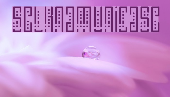 SelknamUnicase Font examples