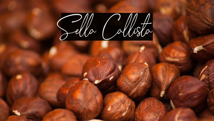 Sella Callista Example 3