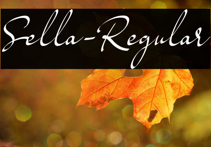 Sella-Regular Example 1