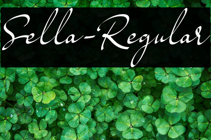 Sella-Regular Example 2