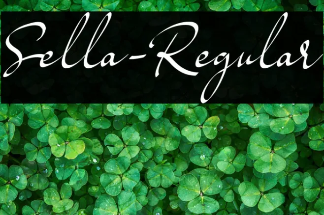 Sella-Regular Example 2