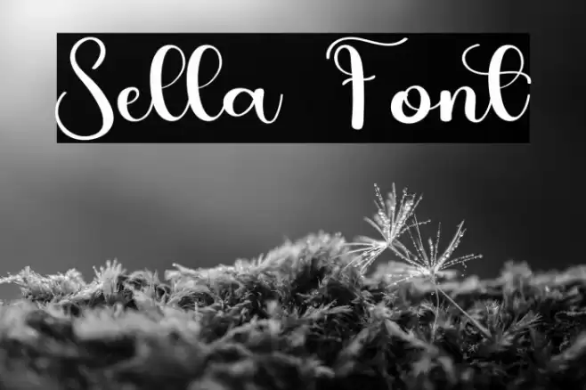 Sella Font examples