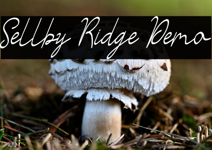 Sellby Ridge Demo Example 2