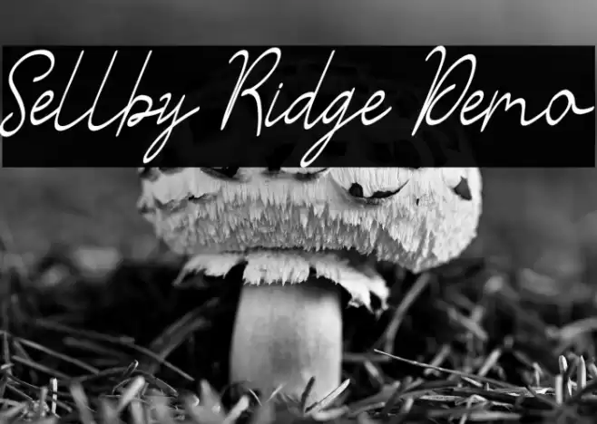 Sellby Ridge Demo Font examples
