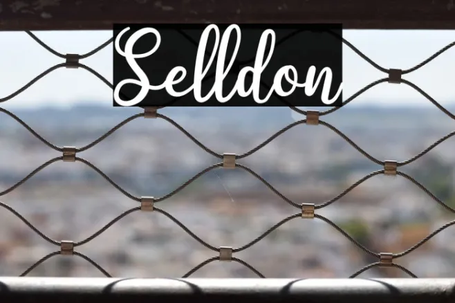 Selldon Example 1