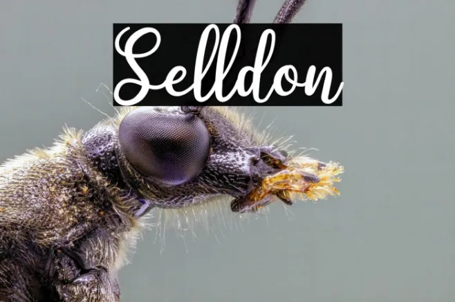 Selldon Example 3