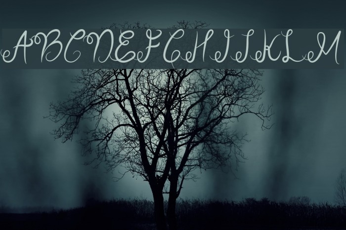 Sellebeew Font examples