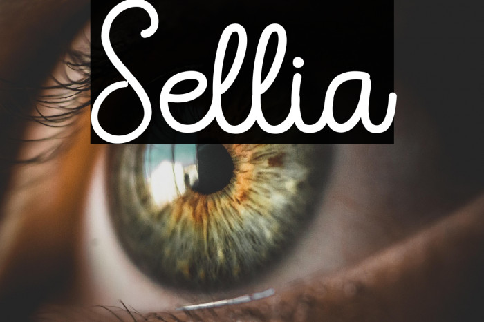 Sellia Example 1