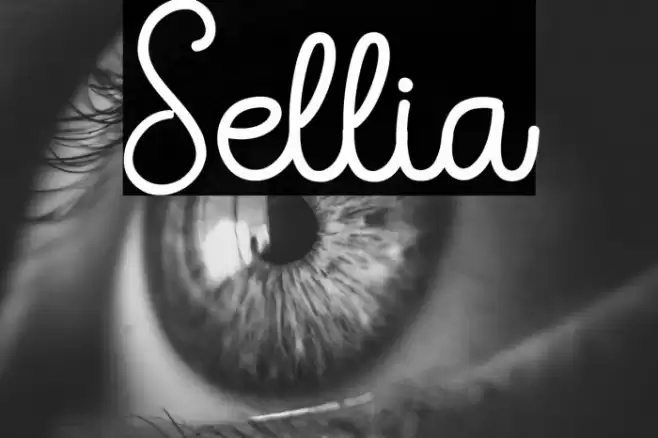 Sellia Font examples