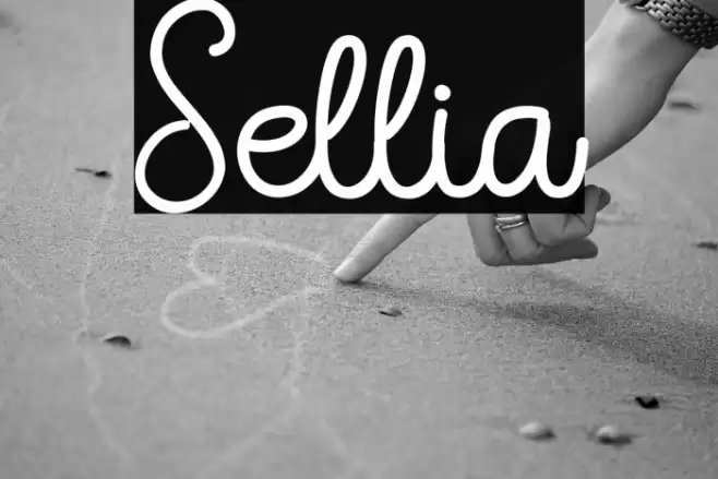 Sellia Font examples