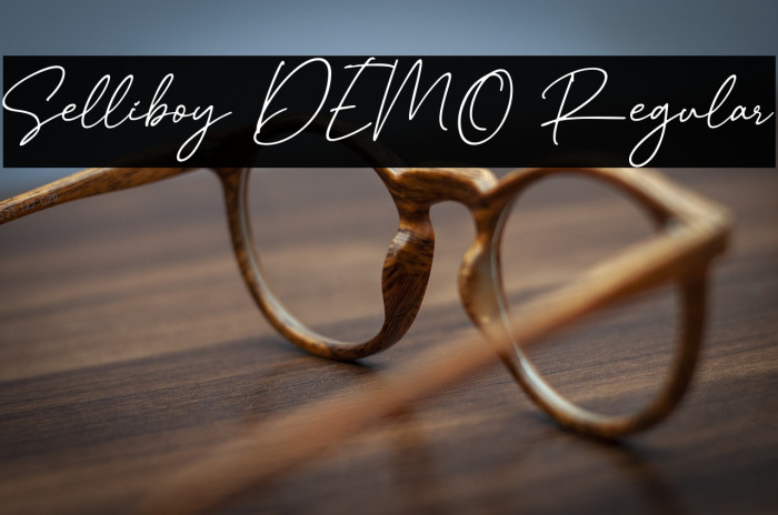 Selliboy DEMO Regular Example 2