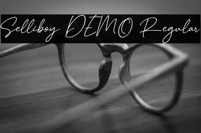 Selliboy DEMO Regular خط examples