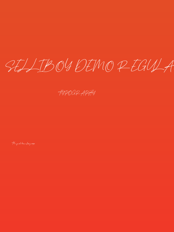Selliboy DEMO Regular Poster