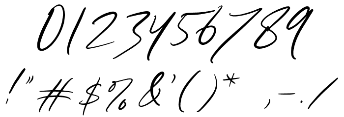 SellinaWordDEMO Font OTHER CHARS