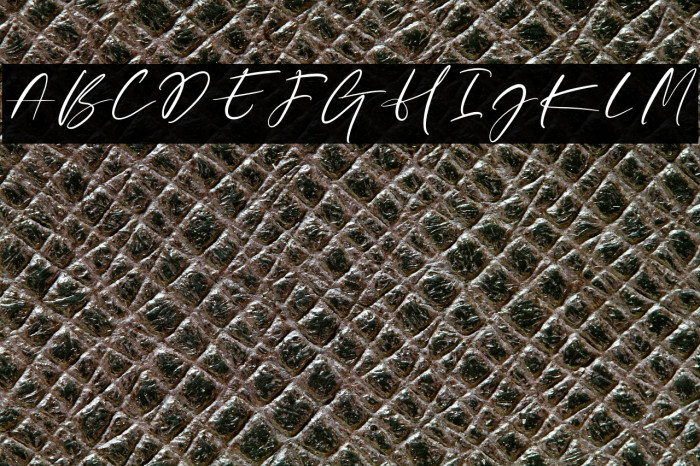 SellinaWordDEMO Example 1