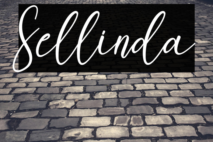 Sellinda フォント examples