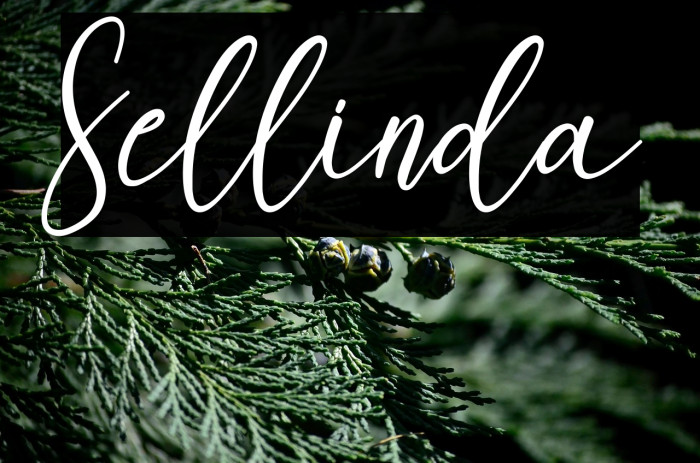 Sellinda フォント examples
