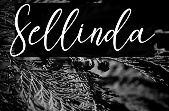 Sellinda Font examples