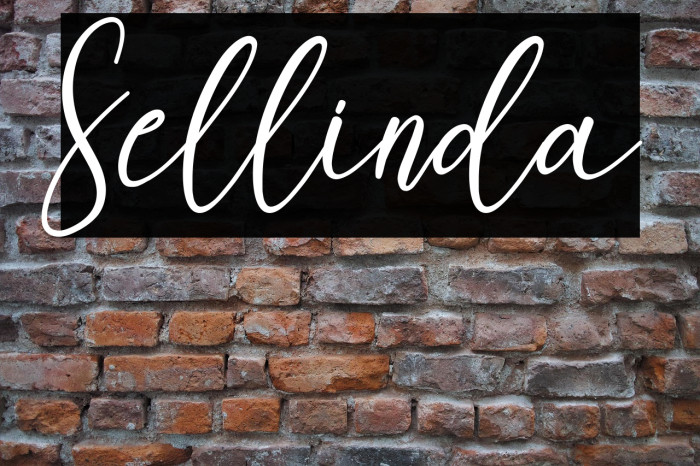 Sellinda フォント examples